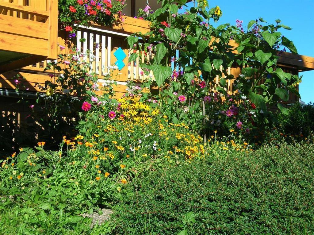 Ferienwohnung Dreer Höfen Dış mekan fotoğraf